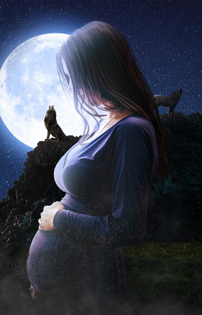 Pregnant and Rejected - Book cover