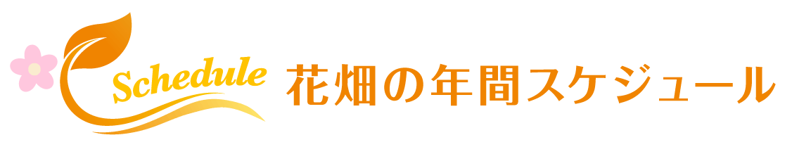 Animal kingdom banner