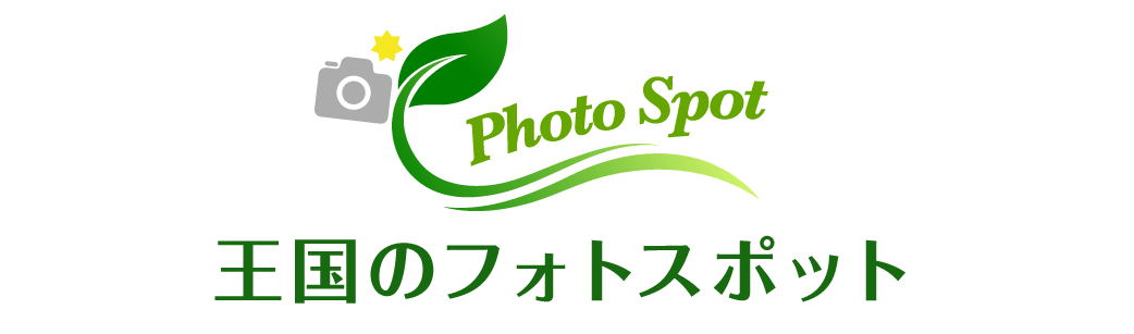 Animal kingdom banner