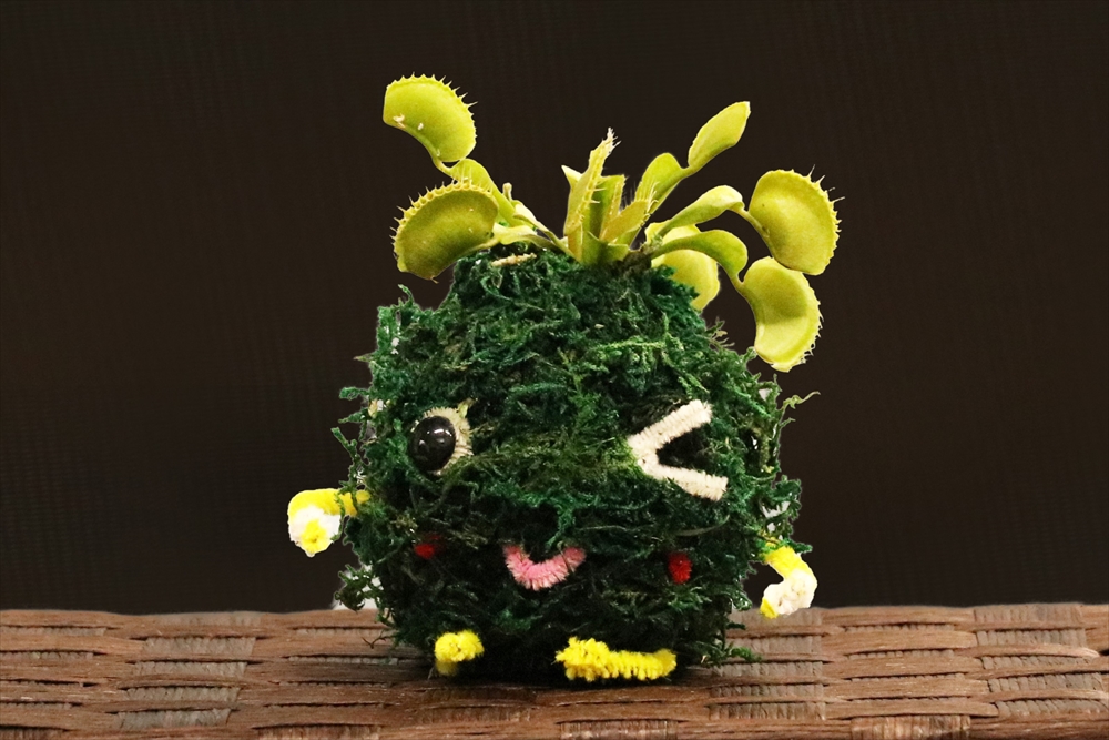 Animal kingdom banner