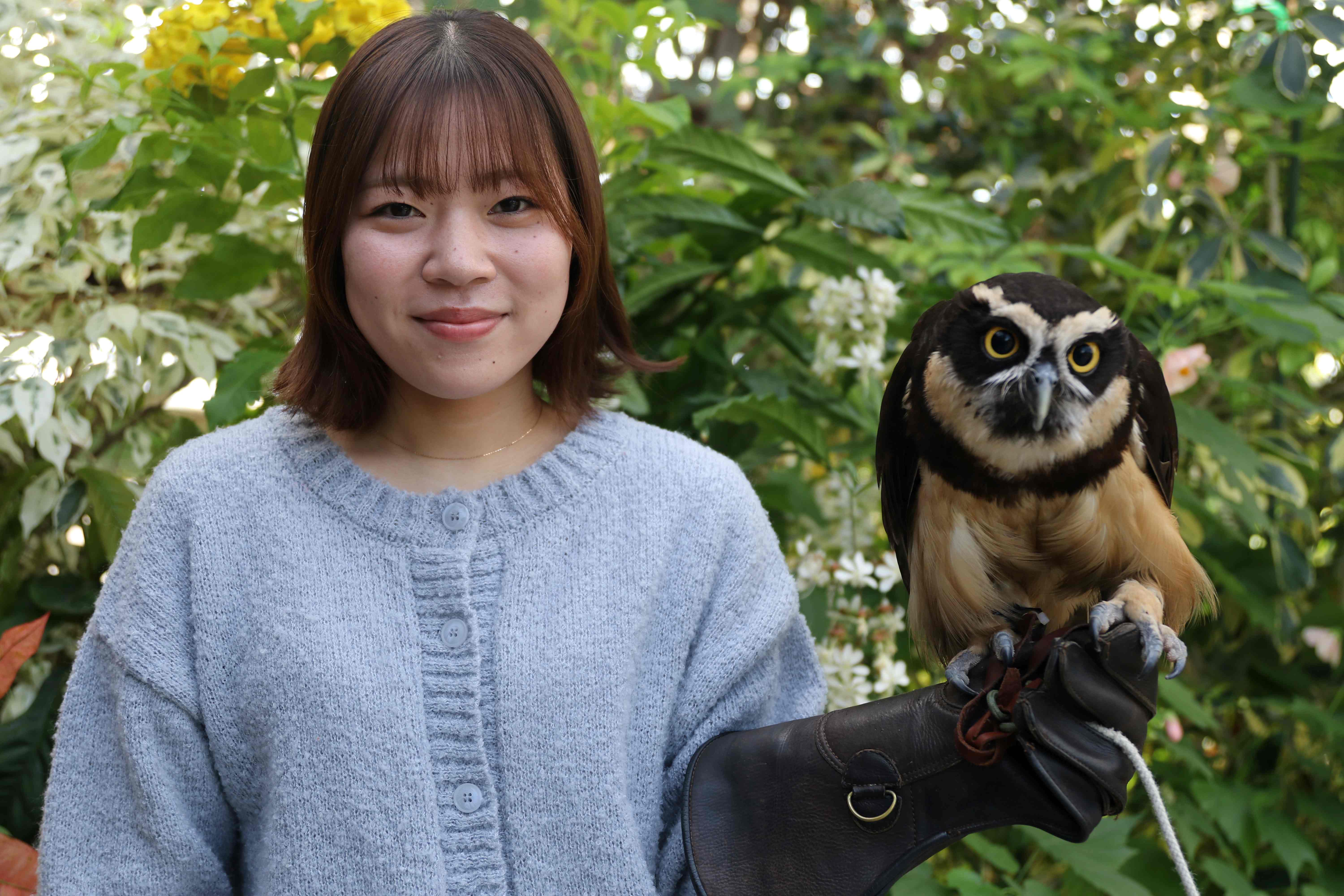 【中古】 神戸の動植物園/神戸新聞総合出版センター/神戸市立動植物園連絡会 展示エリア – 神戸市立森林植物園