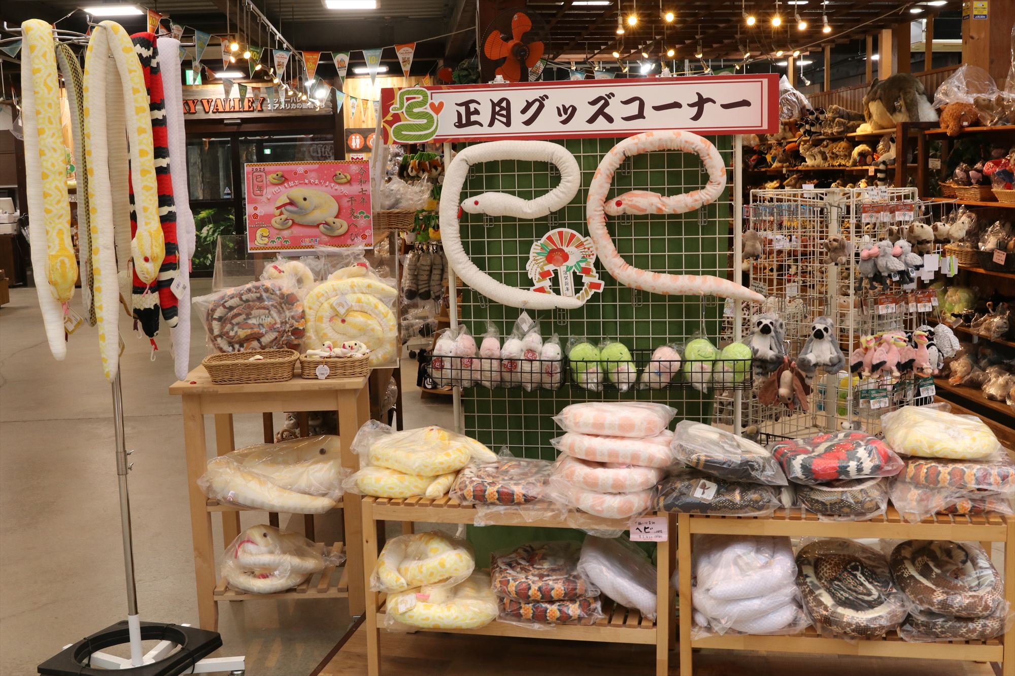 Animal kingdom banner