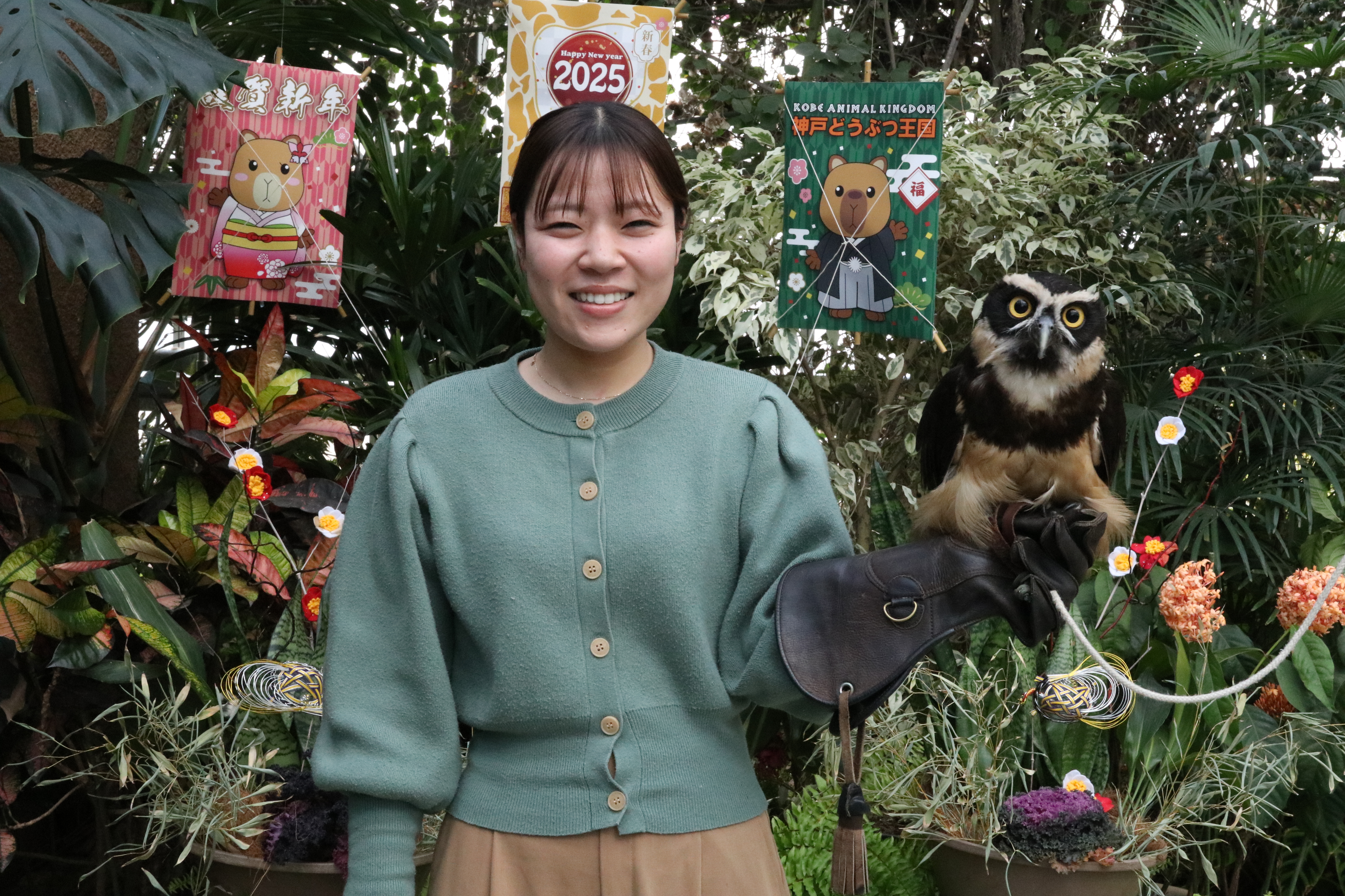 Animal kingdom banner