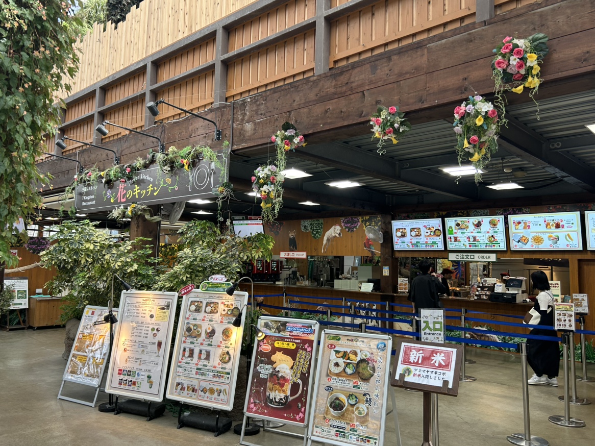 Animal kingdom banner