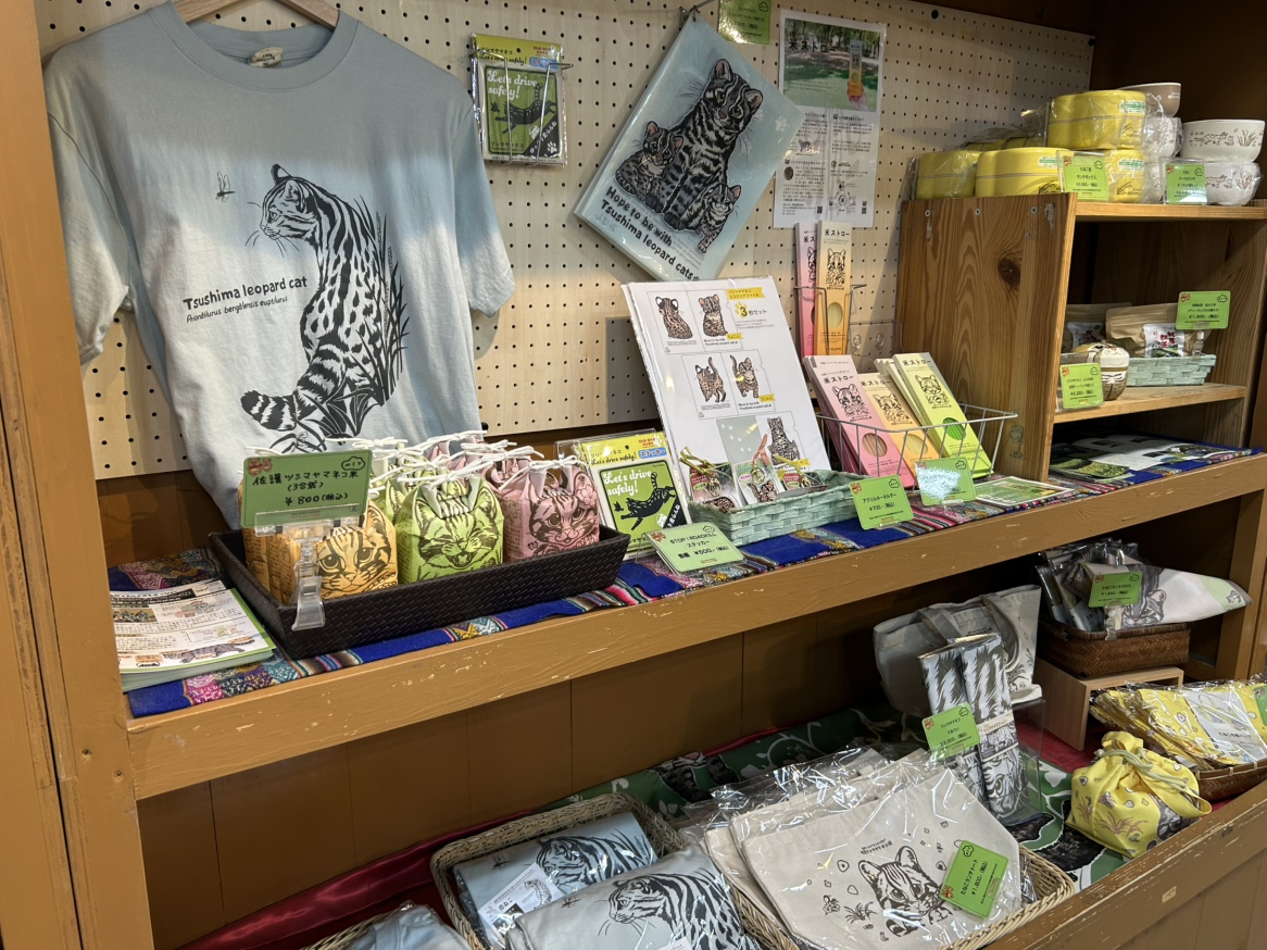 Animal kingdom banner