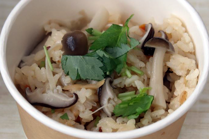 Animal kingdom banner