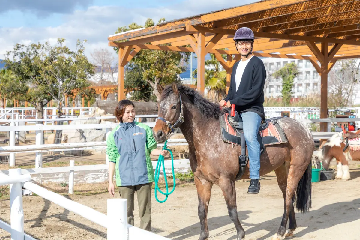 Animal kingdom banner