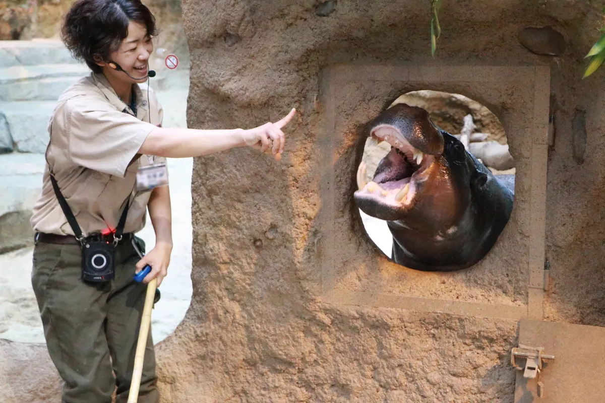 カバカバトーク (4月10日より再開予定)