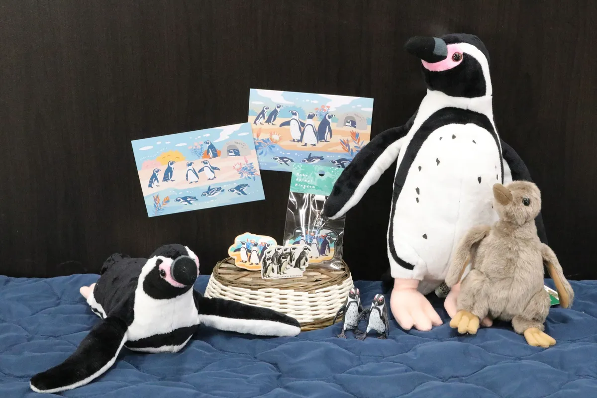 Animal kingdom banner