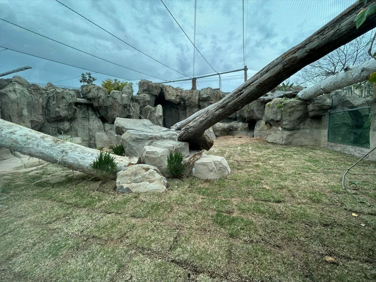 Animal kingdom banner