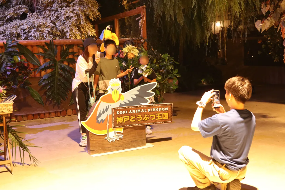 Animal kingdom banner
