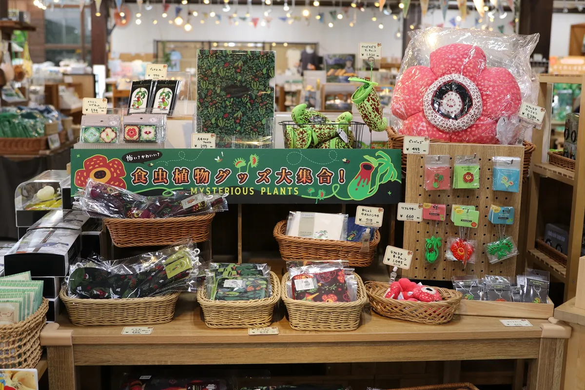 Animal kingdom banner