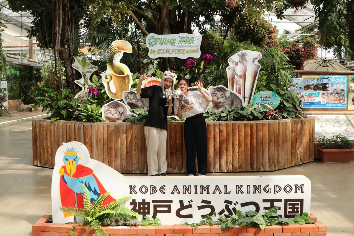 Animal kingdom banner