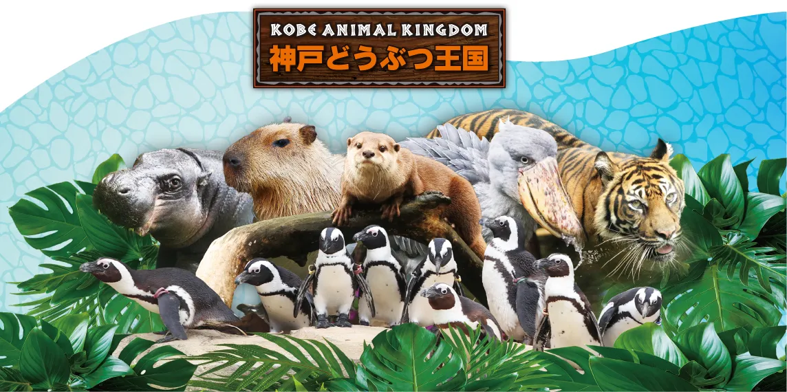 Animal kingdom banner