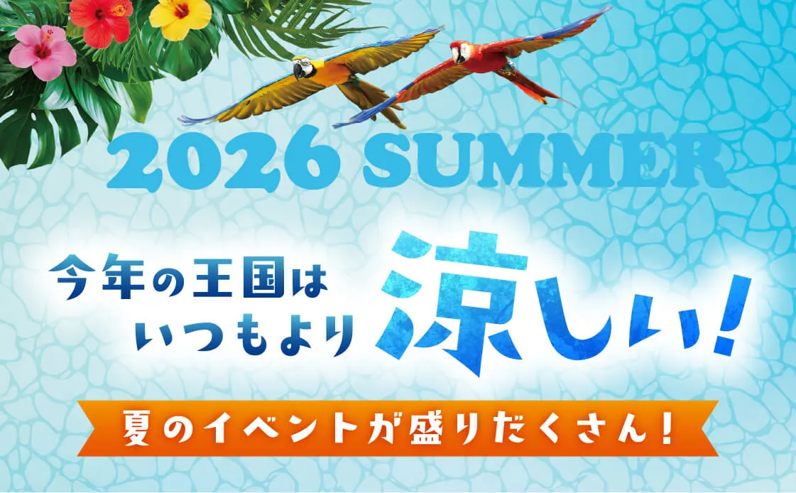 今年の王国は夏のイベントが盛りだくさん!