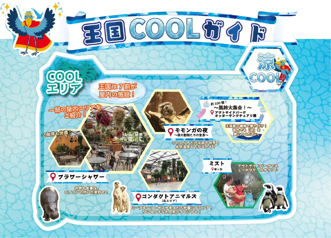 Animal kingdom banner