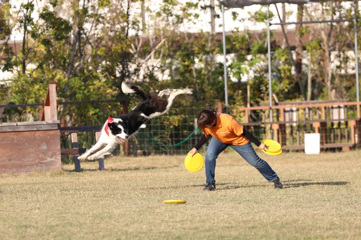 barrier-1