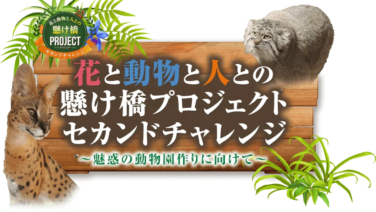Animal kingdom banner
