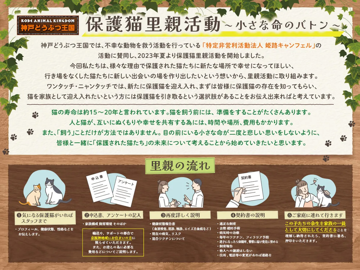 Animal kingdom banner