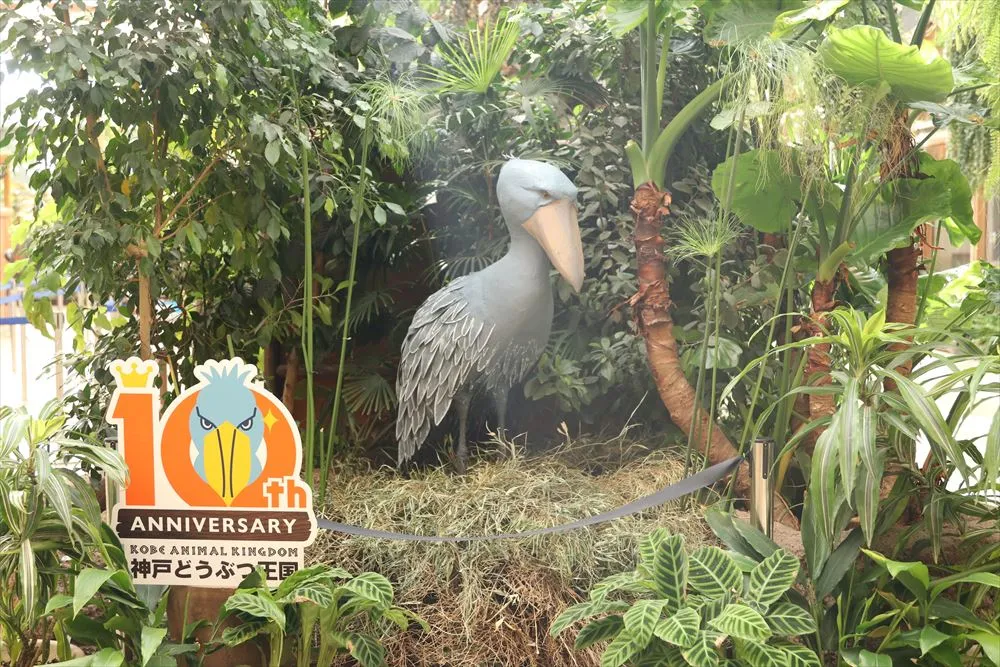 Animal kingdom banner