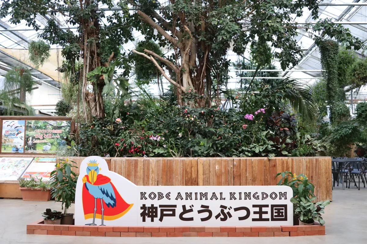 フラワーシャワー