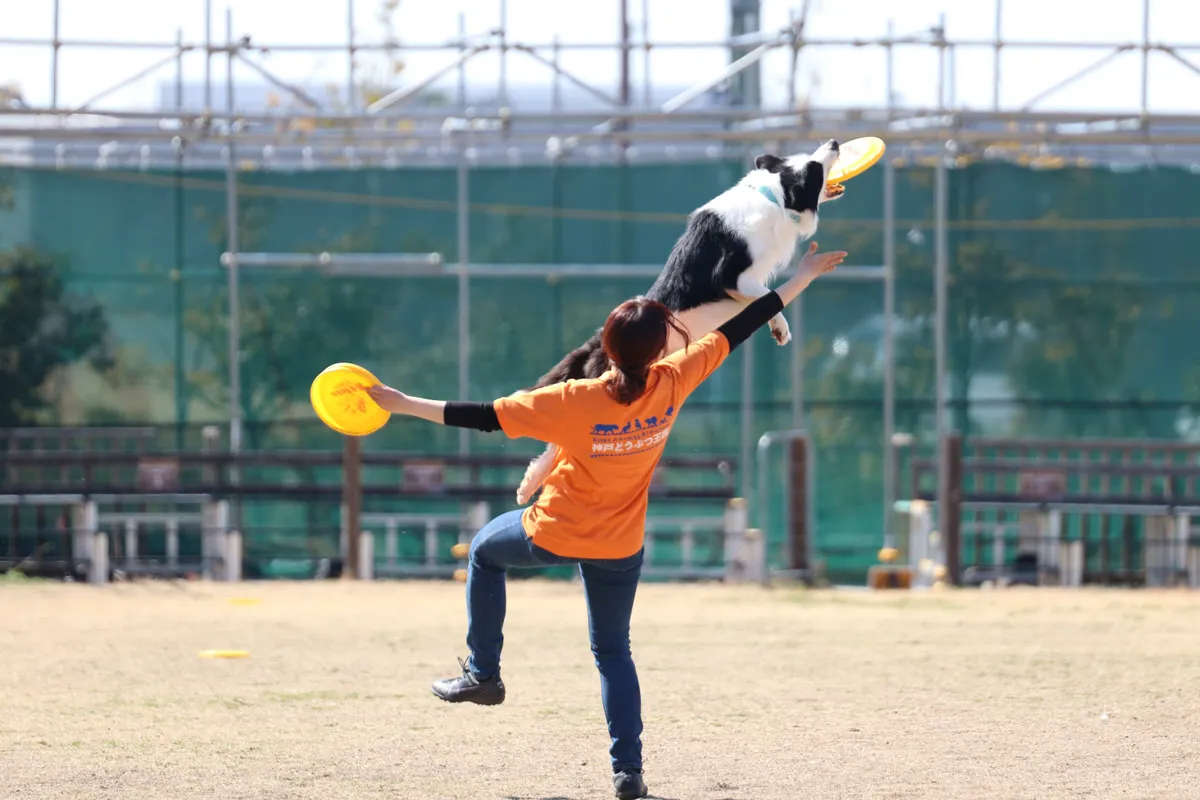 Buddy(バディ)~ドッグスポーツパフォーマンス~