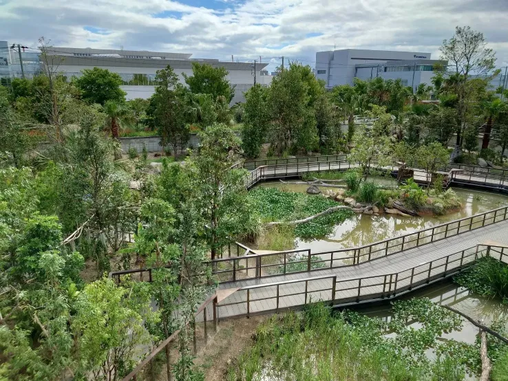 Animal kingdom banner