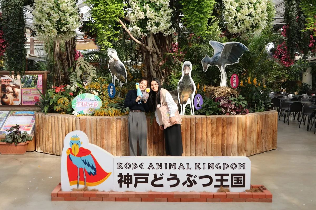 Animal kingdom banner