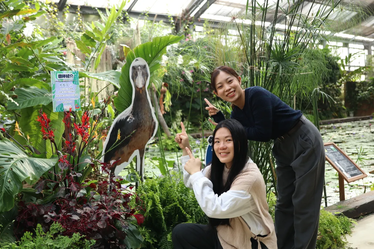Animal kingdom banner