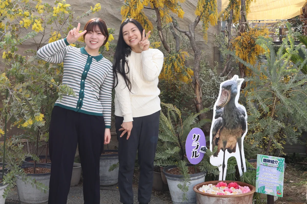 Animal kingdom banner