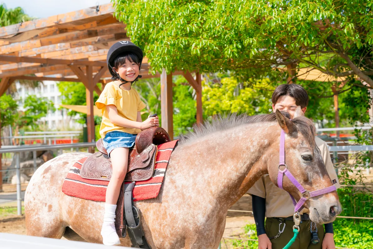 ホース&ポニーライド