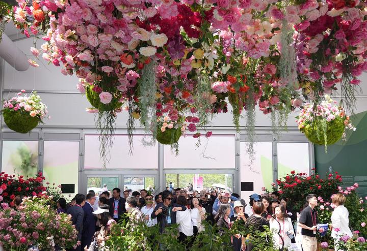 cina simposio internazionale delle rose di mentougou a pechino da Romadailynews.it cina simposio internazionale delle rose di mentougou a pechino