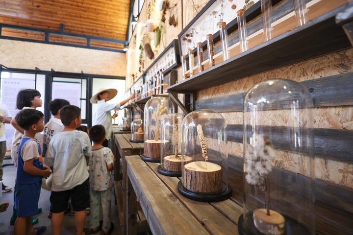 Cina: Hainan, museo dei semi di Jiusuo a Ding’an Cina: Hainan, museo dei semi di Jiusuo a Ding’an