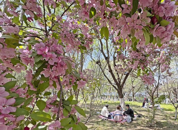 cina tecnologia intelligente cambia il contatto delle persone con la natura da Romadailynews.it cina tecnologia intelligente cambia il contatto delle persone con la natura