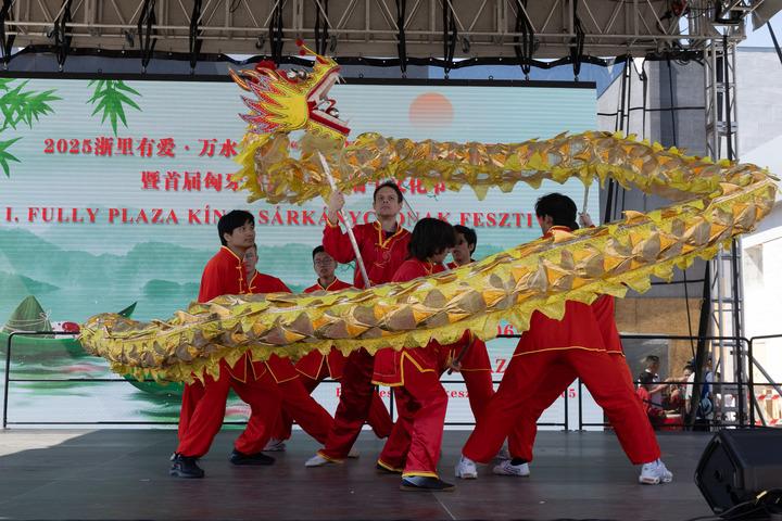 Ungheria: celebrazione della Festa delle Barche Drago a Budapest Ungheria: celebrazione della Festa delle Barche Drago a Budapest