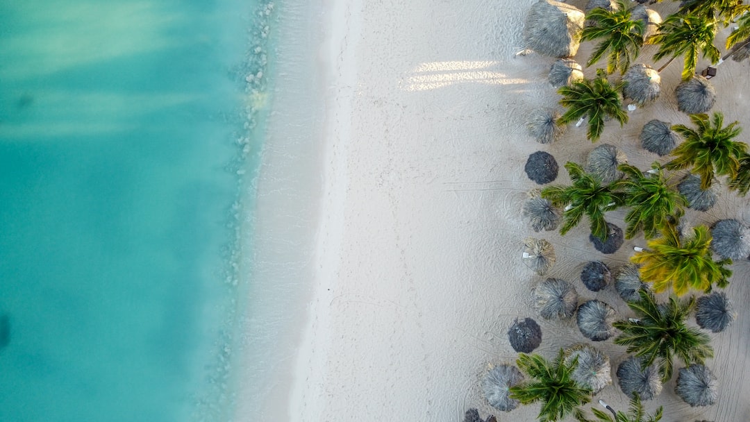Arubacover image