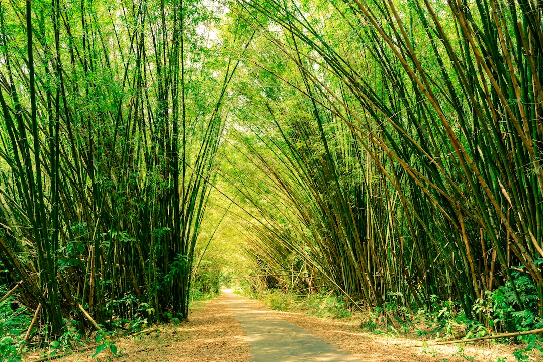 Trinidad And Tobagocover image