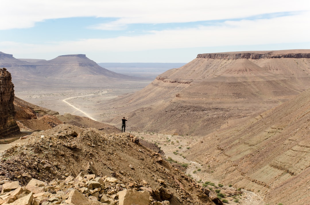 Mauritaniacover image