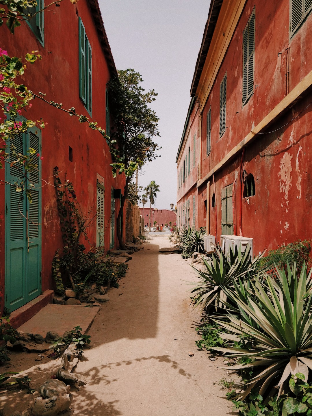 Senegalcover image
