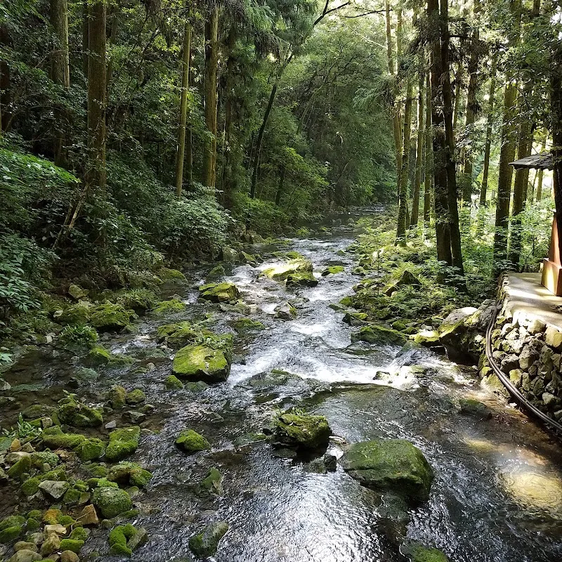 秋芳洞 6