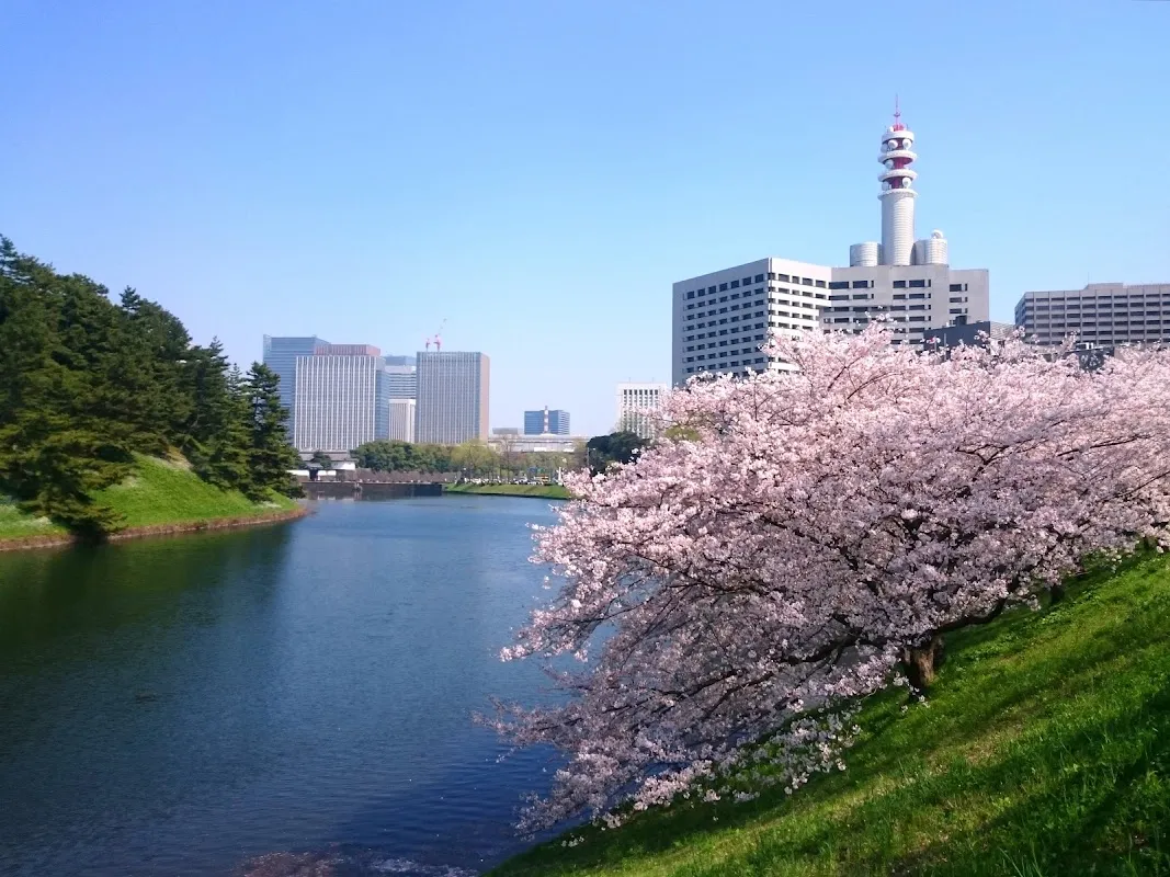 Chidorigafuchi Park 3