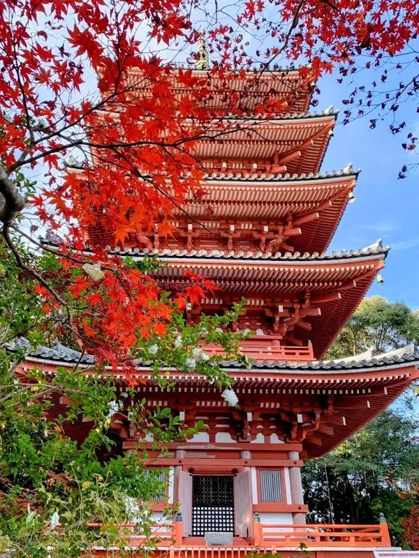 Kochi in 2 Days: Castle Town, Hirome Market & Ryoma's Coast 4