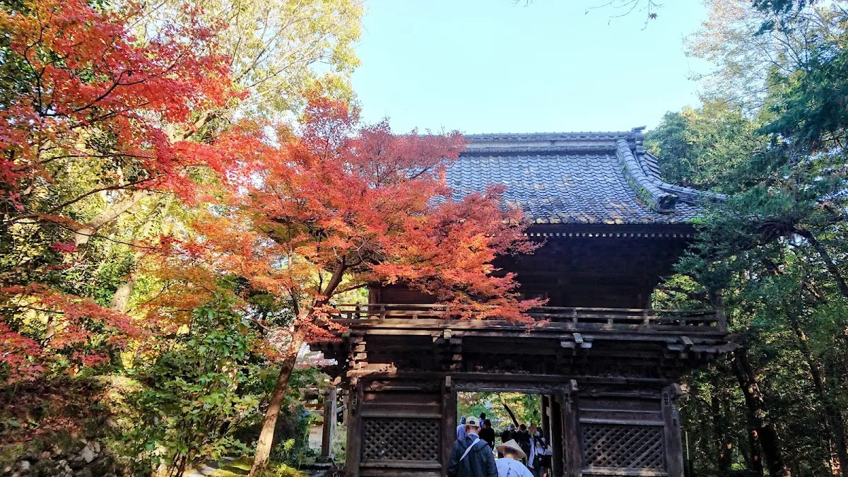 竹林寺 3