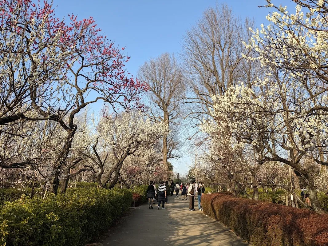 世田谷区立羽根木公園 1