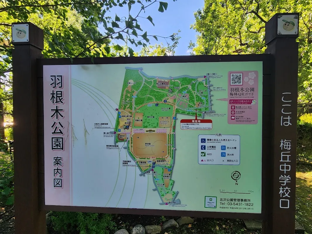 世田谷区立羽根木公園 4