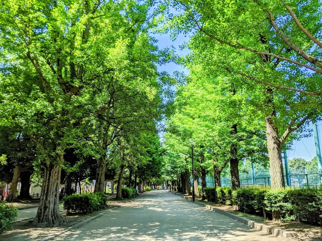 世田谷区立羽根木公園 5