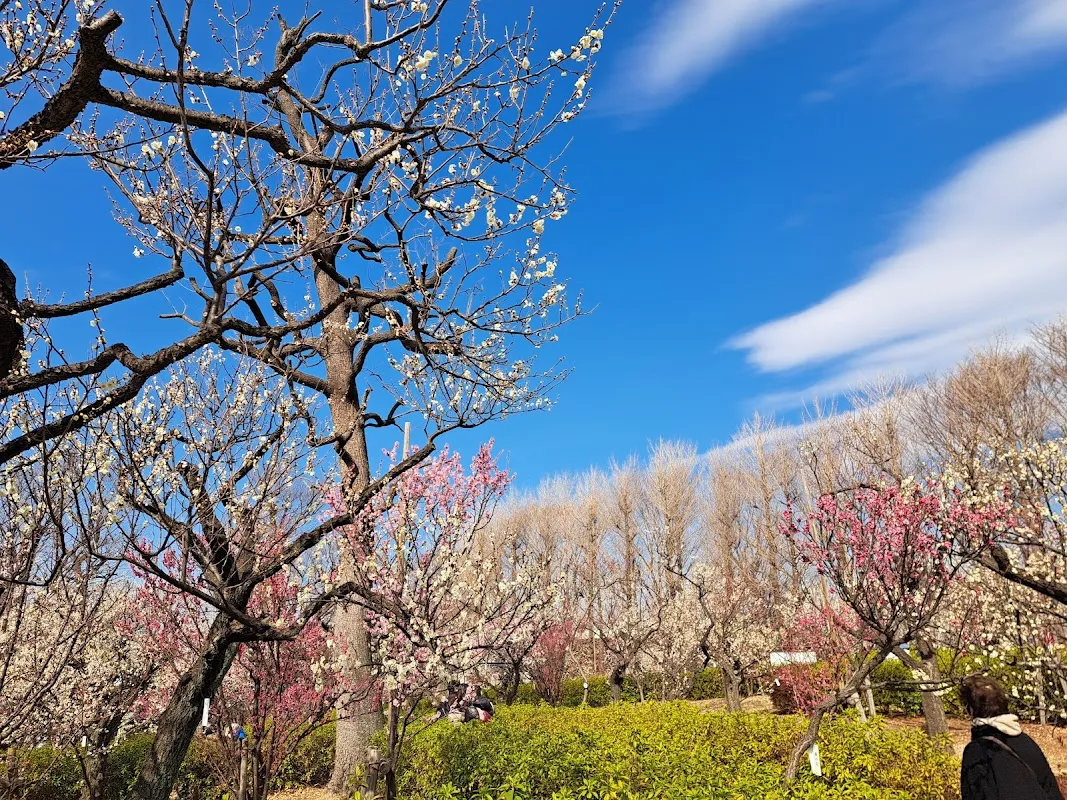 世田谷区立羽根木公園 8