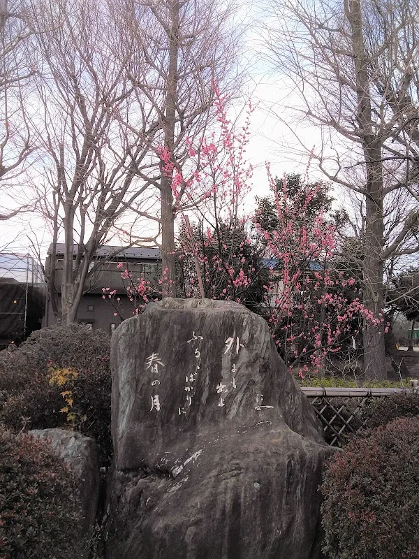 世田谷区立羽根木公園 9