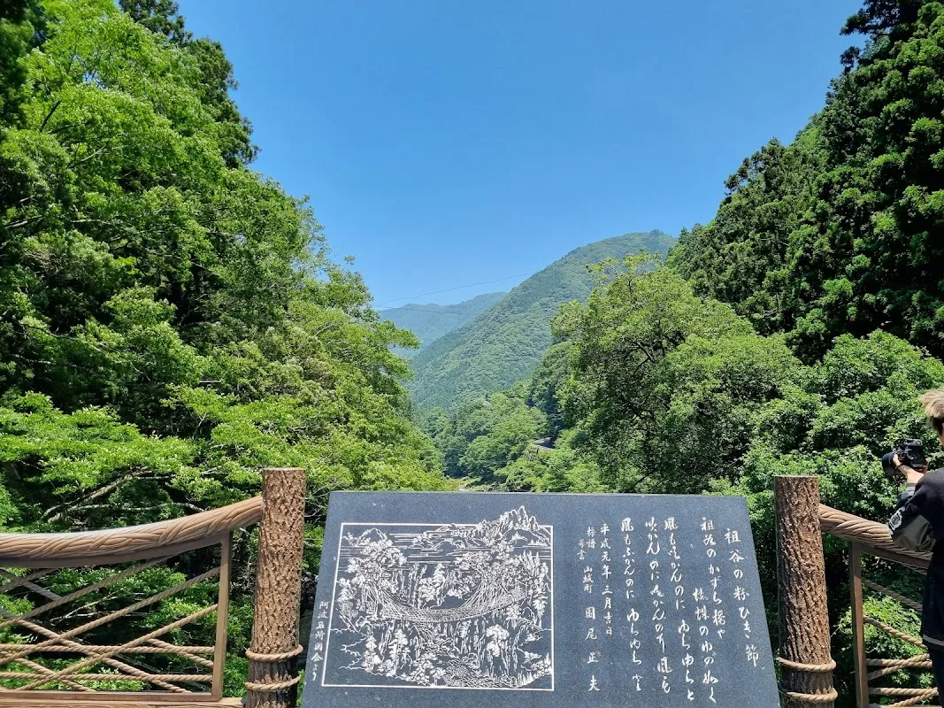 祖谷渓 7