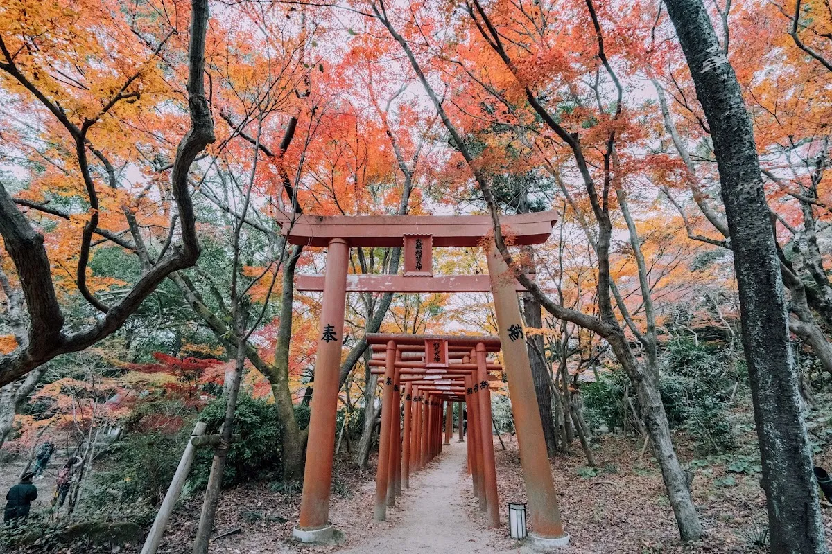 宝满宫 灶门神社 5